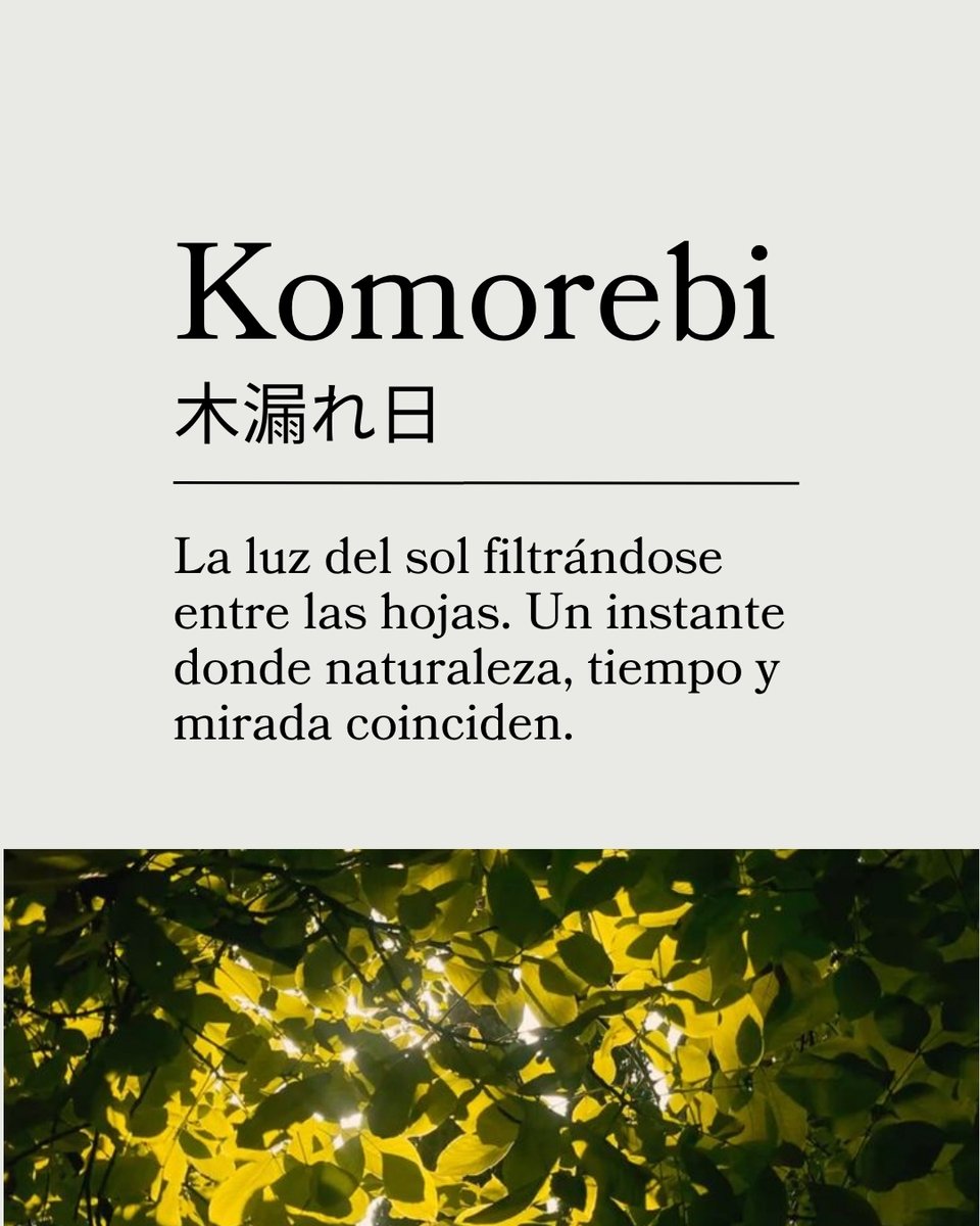 mangaschoolJP's tweet photo. ¿Cuál de ellas te ha sorprendido más?🤔

🌸Si te apasiona la cultura japonesa, síguenos para descubrir curiosidades, conceptos y mucho más sobre Japón. ¡Y si además quieres aprender mucho mas japonés de una forma práctica y dinámica, descubre NihonPOP!👉
https://t.co/cyfCzrKuqB https://t.co/7BnWm0ErOj
