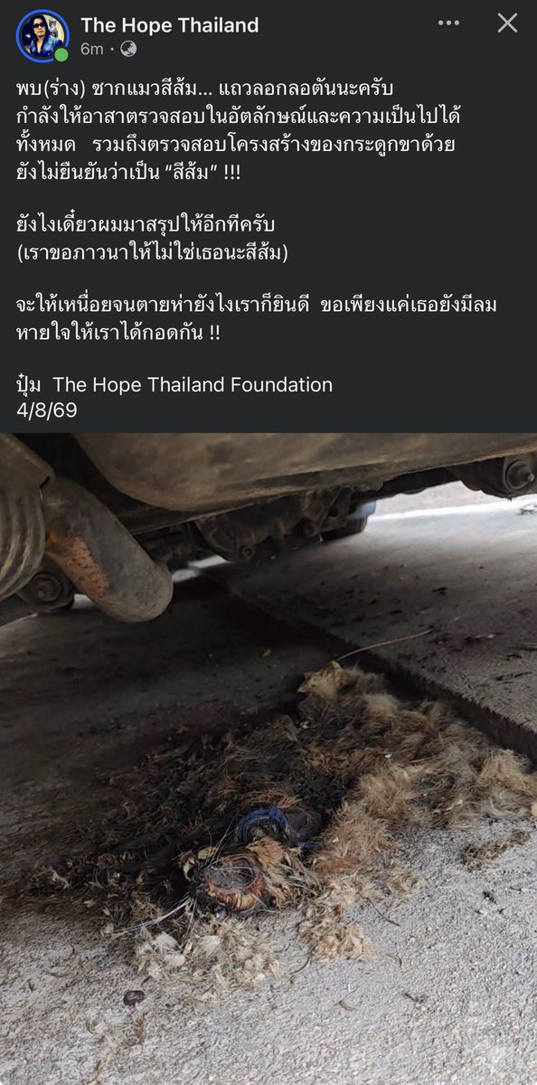 KhaohomSiri's tweet photo. พบร่างแมวสีส้ม ขอให้ไม่ใช่น้องสีส้มของพวกเรา🥹 รออัพเดตนะคะ

#แมวหายบนรถไฟ https://t.co/PPKiT201Hf