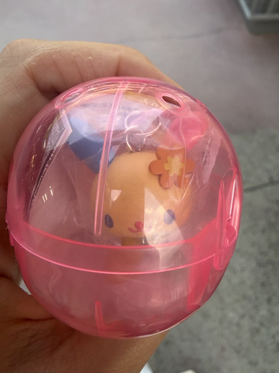 14419criq's tweet photo. サンリオキャラクターズ　カラとも
【譲】
ウサハナ
【求】
シナモン

よろしくお願いします🫶🏻 https://t.co/g43a7S58Ad