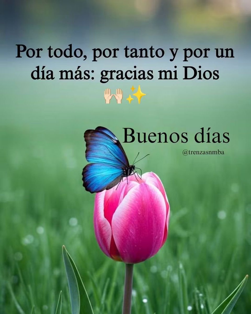 Teresamejia7's tweet photo. Buenos días para todos 
Feliz martes 😘🤗❤️🇻🇪 https://t.co/pNSPCsgyFd