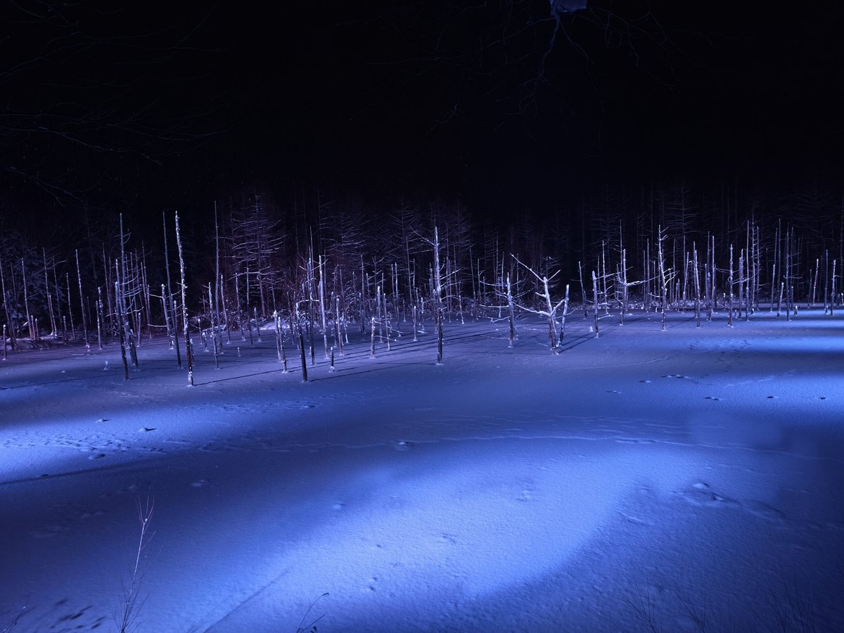 wannyanbow's tweet photo. 昨年12月に訪れた #北海道 美瑛町の #青い池。
#雪景色 も美しいけど、雪のない時期にもまた行きたい!
#BluePond in #Biei , #Hokkaido (from last Dec).
The snowy view is amazing, but I'd love to see it in other seasons too! https://t.co/xbGVGJWGAL
