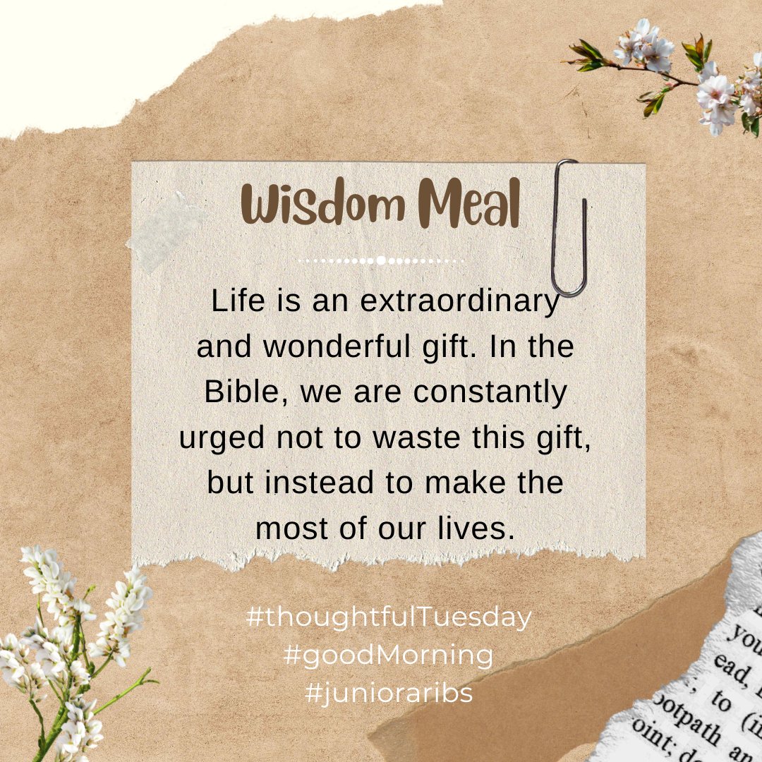Junioraribs's tweet photo. Life is an extraordinary and wonderful gift. In the Bible, we are constantly urged not to waste this gift, but instead to make the most of our lives.

#thoughtfulTuesday
#goodMorning 
#junioraribs https://t.co/earik6poHc