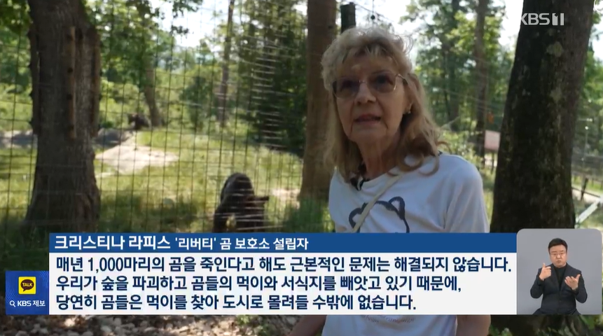 aniko_welfare's tweet photo. "(루마니아 정부는 1만 마리 이상의 불곰이 서식하는 지역에서 야생 곰들에게 먹이를 던져주는 관광객들에게 높은 벌금을 부과하기 시작했고) 연간 곰 사냥 허용 수량을 1,000마리 수준으로 두 배 늘렸습니다."(뉴스보기: https://t.co/HTHCyayv1W) https://t.co/OGssluFTPv