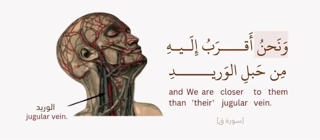 0qljxa's tweet photo. يا رب شعور هذه الآية https://t.co/Dvz6XDaNC6