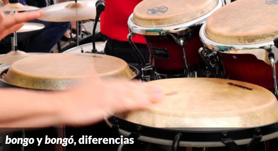 Fundeu's tweet photo. La grafía recomendada en el uso general del nombre del instrumento musical es «bongó», con tilde, y no «bongo», que alude a una embarcación. #recoFundéu 
https://t.co/MsjGTMNGt4 https://t.co/FEXHohESd5