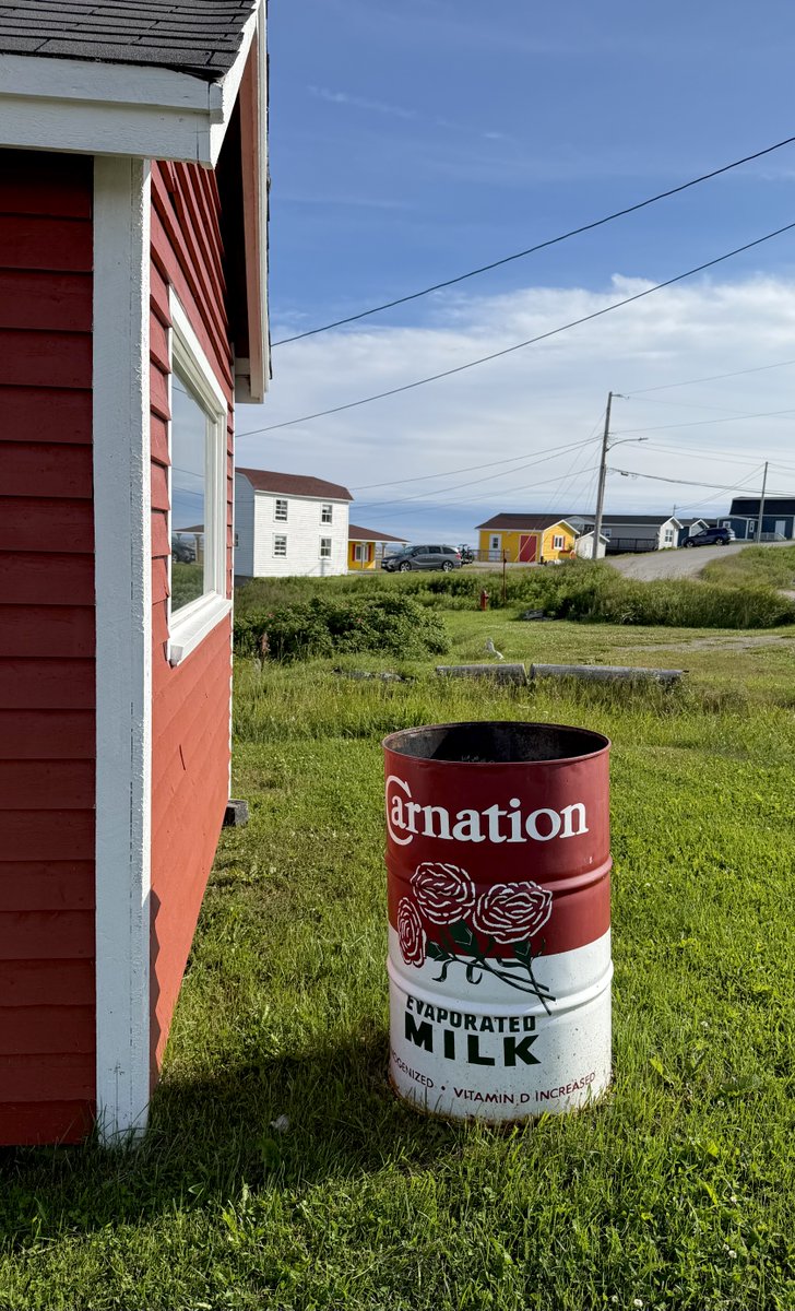 homewithlu's tweet photo. In Newfoundland, people paint on all surfaces, even litter bins, and there’s very little litter here because people use the bins. #Newfoundland #publicart #travel https://t.co/2amTi9GcQz