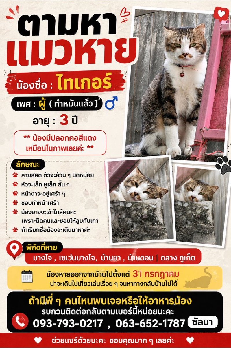 klamsd22's tweet photo. ตามหาน้องค่ะ รบกวนช่วยรี ช่วยแชร์กน่อยนะคะเจ้าของเป็นห่วงน้องมากค่ะตอนนี่ 
#แมวหายภูเก็ต #แมวหาย #ตามหาแมว 
#แมวภูเก็ต https://t.co/4X6QJm3l80