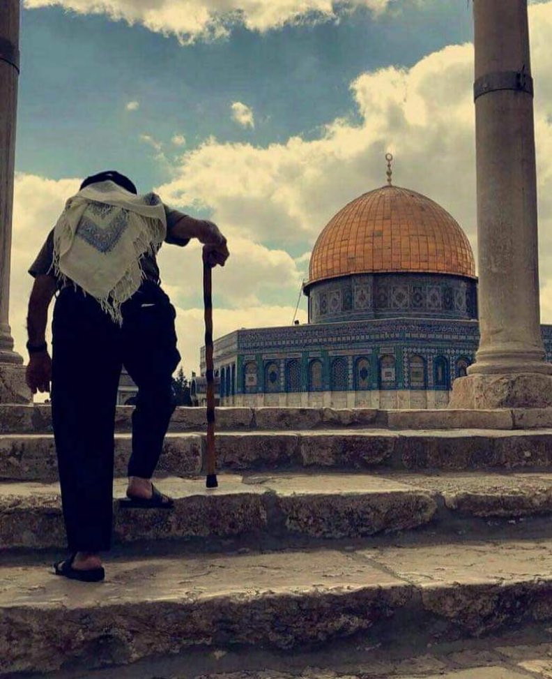 HUDAIB_SAID's tweet photo. قد وعدنا الله في كِتابه أنكِ ستعودين للمسلمين ف اصبري يا جميلة ف إن وعد الله حق🕊

#القدس_عاصمة_فلسطين_الأبدية ✋ https://t.co/5MijmsVkLm