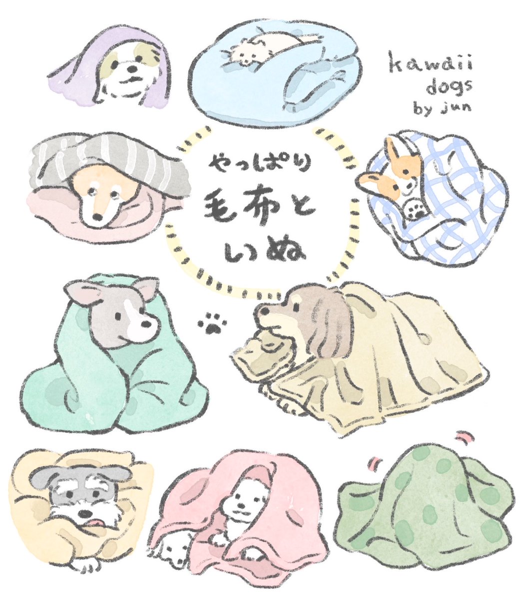 kametan_jun's tweet photo. ＼やっぱり／ 毛布といぬ https://t.co/1m9x35TPTo