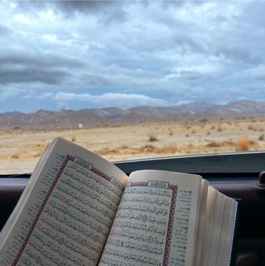 waadQuraan's tweet photo. من جعله رفيق دربه لم يعرف الضياع، ومن اتخذه أنيسًا لم يذق وحشة🤍. https://t.co/5VxEZQtkoJ
