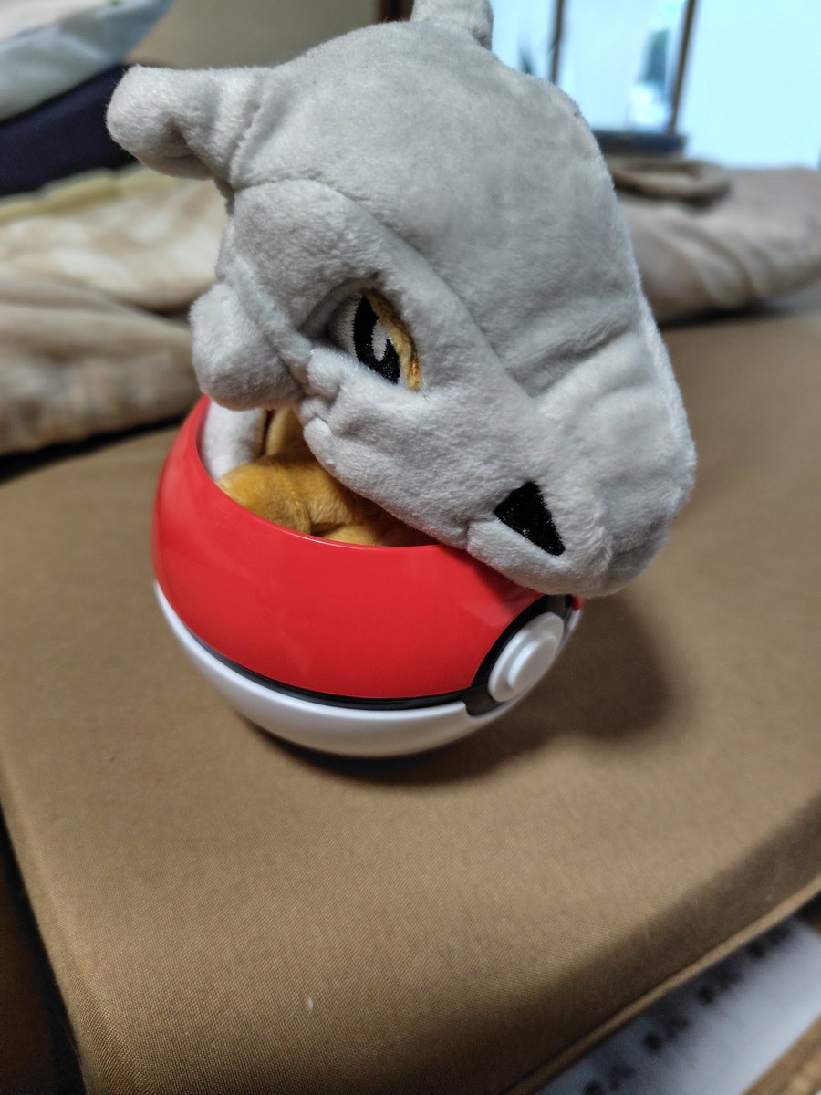 Labo_MK_024_'s tweet photo. モンボにカラカラがぴったり収まった https://t.co/9fSF47qiAv