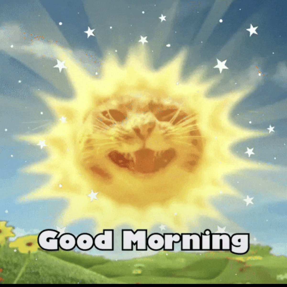 rigbyonpump's tweet photo. GM

$Rigby https://t.co/DOKMQvMVFL