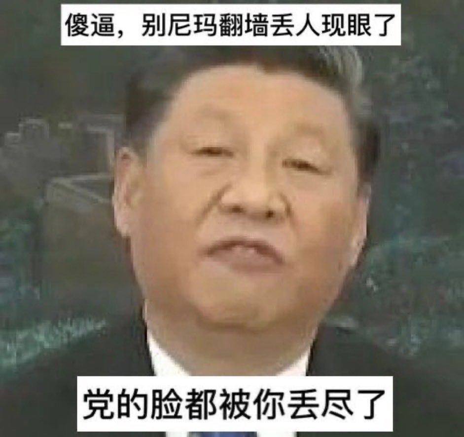 CrisplW's tweet photo. @Libaiq41j @wy56_ @laiyongfeng1992 @XrfkzkT9Du730 @whyyoutouzhele 舔了习近平屁眼子的墙国贱畜一张嘴就一股子矿渣子味儿，欠活摘了呐🤣🤩🤡🤪 https://t.co/xxutPJJqEd