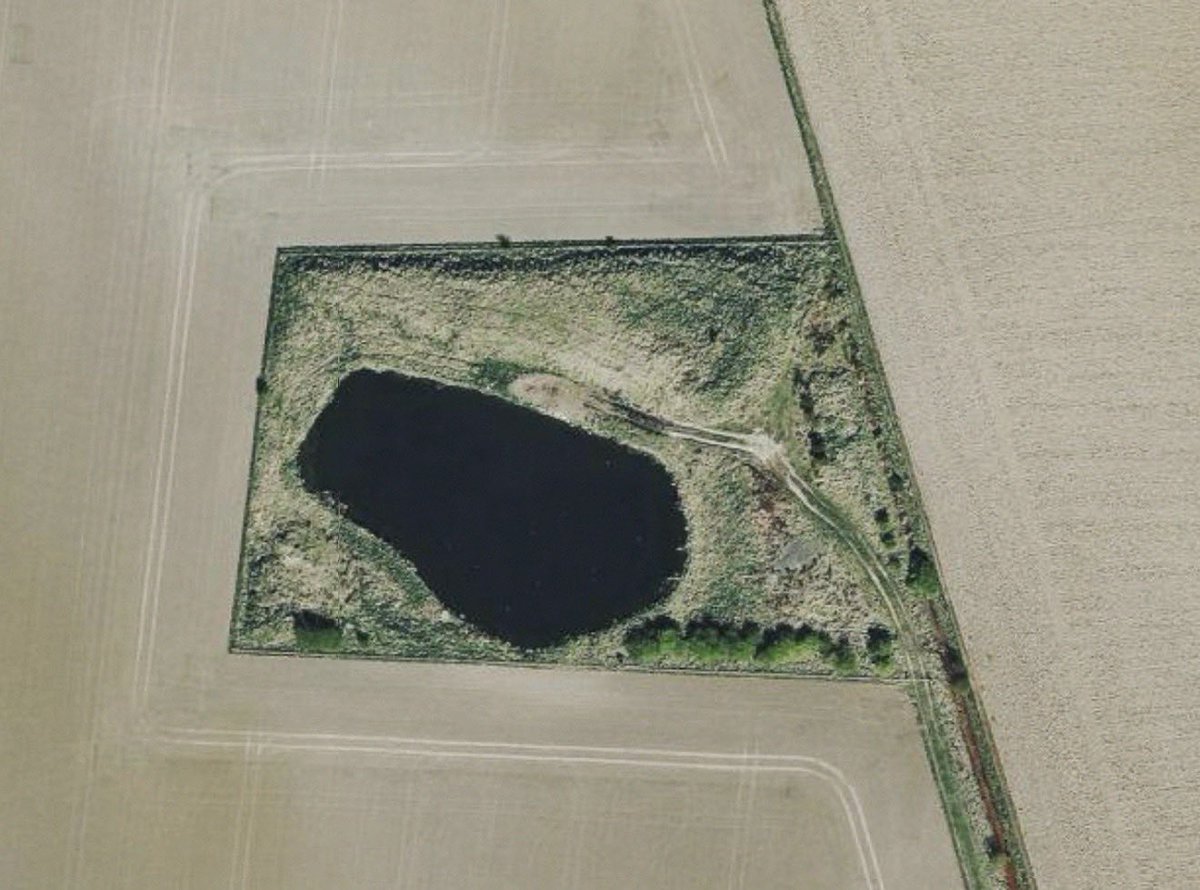 JohnMorton215's tweet photo. Odd #GolfHistory you probably didn’t know:

Where does the water from Swilcan Burn come from?

The natural spring/pond in the second photo is located in the middle of a farm in Strathkinness!

This is what feeds the famous waterway!

#StAndrews https://t.co/yMj3Jh66BT