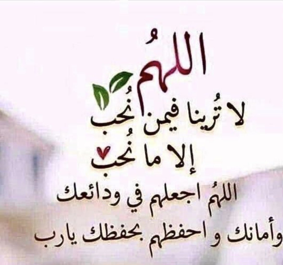 Ouiam34's tweet photo. للمتواجدين الآن 🔥 
🔝 لزيـادة متابعينك 🔝
➊ 💬  تــــم  
➋ 🔄َ ريتـويــت ولايـگ 
➌ ♥ إعجاب 
➍ ♾️ تابعني اتابعك فوراً 🔥 
➎ ⭕ تابع من التعليقات هتزيد. https://t.co/1rCn7pled1