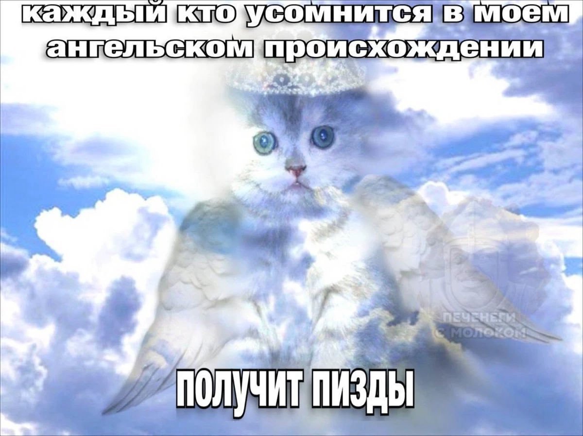 _lrrr___'s tweet photo. https://t.co/KlkDQsJLJv