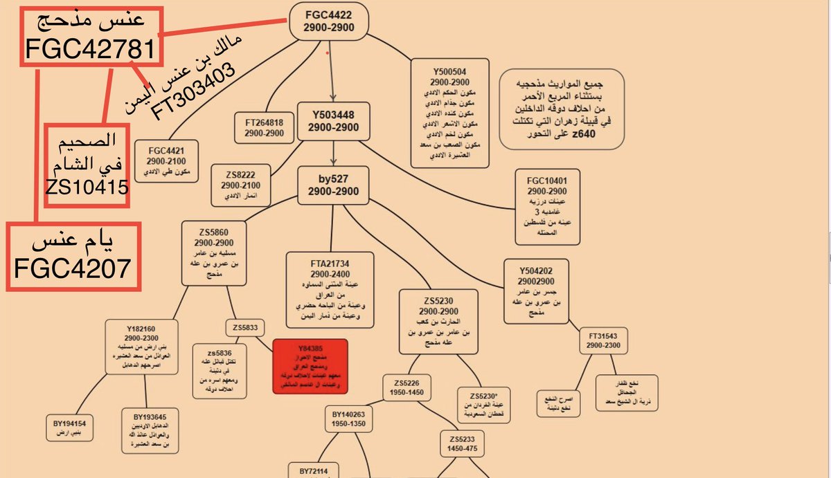 BY8BY9's tweet photo. يابو عوده انت سويت مثل ما سوى العاملي
ثلاث تحورات حسنيه شلون بارك الله فيك
ومنهم صريح الحسنيين في هذه الثلاث تحورات
ووين صريح اللهبيين وصريح العقيليين وصريح القرشيين

انتظرنا مشجرة الضفيدع 6 سنوات بعد صدمته
بتكتل صريح الحسينيين ال الفاعور على BY8 
فتمخض الجبل وولد فأراً
@Bnammaar https://t.co/wv5teVzCfz