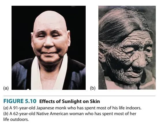 aspecctu's tweet photo. Funny how every 'muh bad ingredients in sunscreen' tanning coper inevitably looks 20 years older https://t.co/Ciwua53o2e