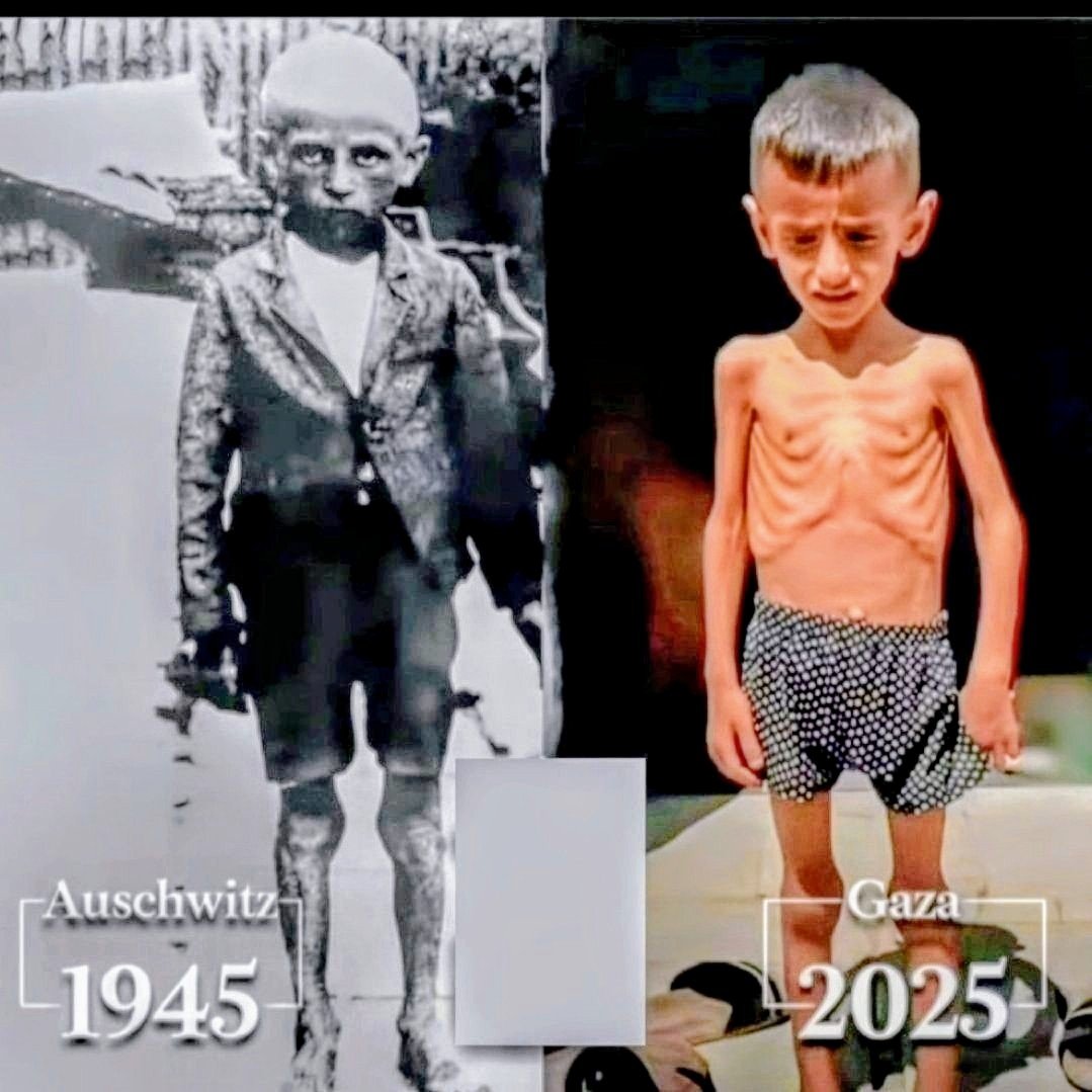 GoodN67788's tweet photo. #freepalestine #palestine #gaza https://t.co/8lBfIanoqb