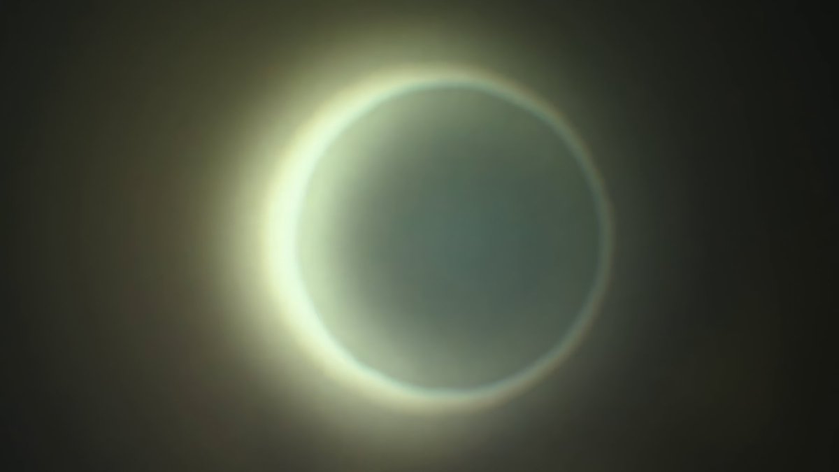 JBHorrorShow's tweet photo. Si queréis prepararos para el eclipse de la semana que viene con un maratón de películas temáticas, Paco Plaza y Jaume Balagueró tienen una recomendación para vosotros 🌒

↖️ Darkness (2002)
↗️ Venus (2022)
↙️ Hermana Muerte (2023)
↘️ Verónica (2017) https://t.co/heFVkmY8Ya