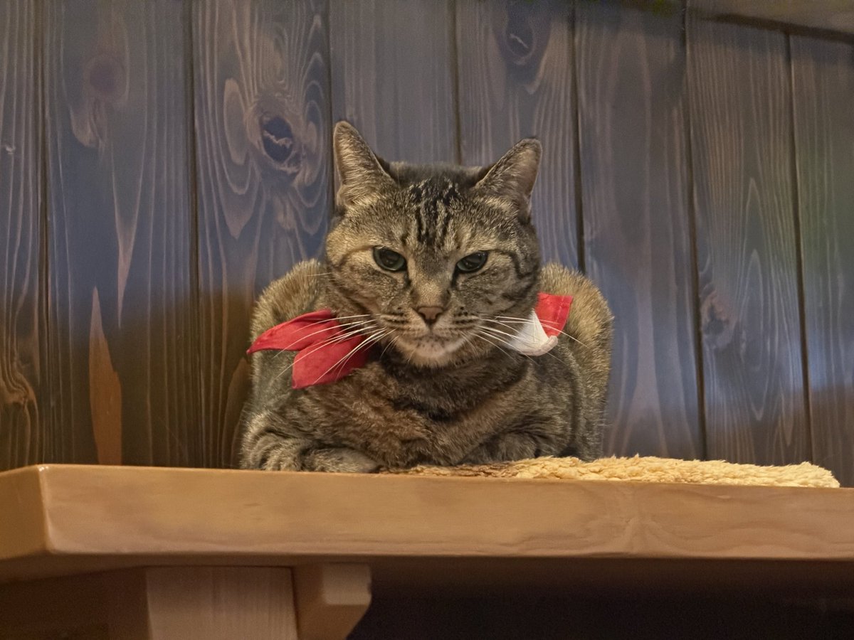 KaySometh's tweet photo. 今日のお宿。 https://t.co/XqSOc6C77o