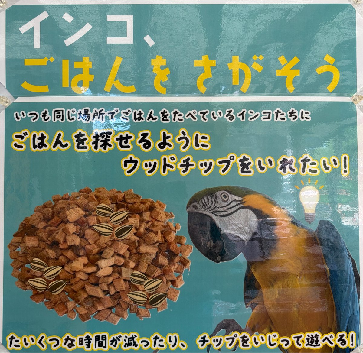 さぁ？ (@sour269) / Posts / X
