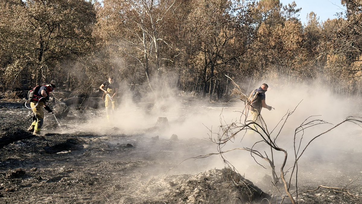 MPopowskiEU's tweet photo. A huge thank you to the heroes without weapons – @SESU_UA rescuers who travelled to France to support the fight against the blaze. It makes me proud to see such #EUsolidarity in action. Ваша відвага, солідарність і професіоналізм є прикладом для всіх нас. 🇺🇦🇫🇷🇪🇺 https://t.co/i2WCOKjWCU