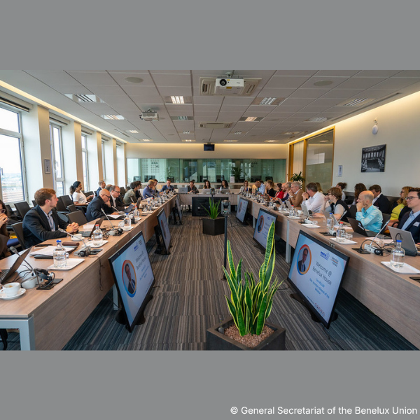 Standards4EU's tweet photo. ⚡ 𝐇𝐨𝐰 𝐜𝐚𝐧 𝐄𝐮𝐫𝐨𝐩𝐞 𝐮𝐧𝐥𝐨𝐜𝐤 𝐜𝐨𝐧𝐬𝐮𝐦𝐞𝐫-𝐬𝐢𝐝𝐞 𝐟𝐥𝐞𝐱𝐢𝐛𝐢𝐥𝐢𝐭𝐲?
This question was at the heart of a workshop organized by the Pentalateral Energy Forum (PENTA), the High-Level Forum on Standardization, and CEN and CENELEC
👉 https://t.co/iINKK4Czco https://t.co/j6ZrOlcOZx