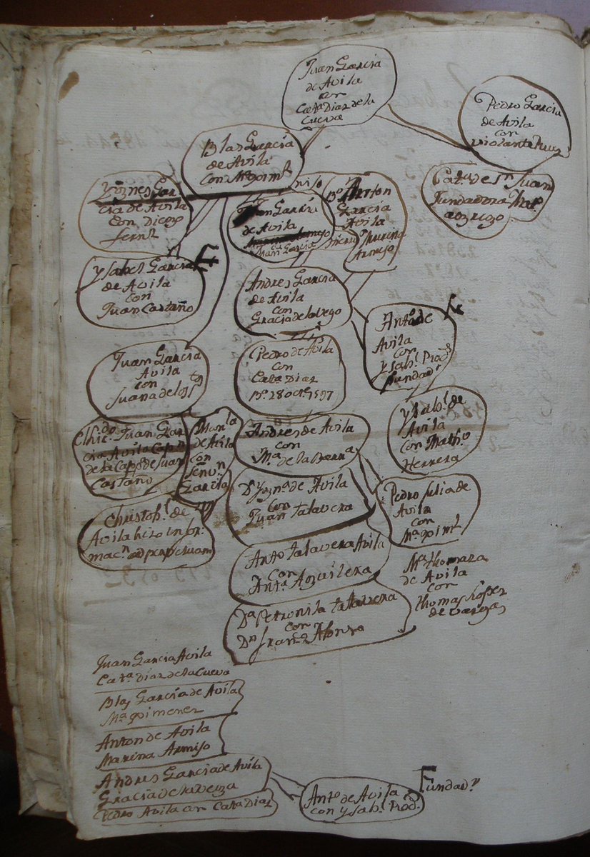 caballoss1's tweet photo. Los genealogistas eran legión históricamente. Y es que las familias se jugaban mucho por lo que era fundamental la conservación de la memoria. La trazabilidad como cristianos viejos, y como miembros de la nobleza era fundamental para mantener sus privilegios. https://t.co/J0L7v1di2g