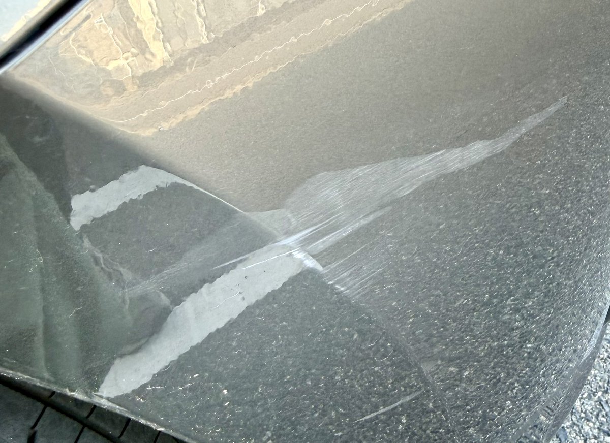 fugucellulose's tweet photo. よそ見の自転車(子供)に追突されてぼくは男の子だから大丈夫です！って立ち去られたんだけどこちらの車は大丈夫じゃないです(警察届出済み👮) https://t.co/MInVFEFcnD
