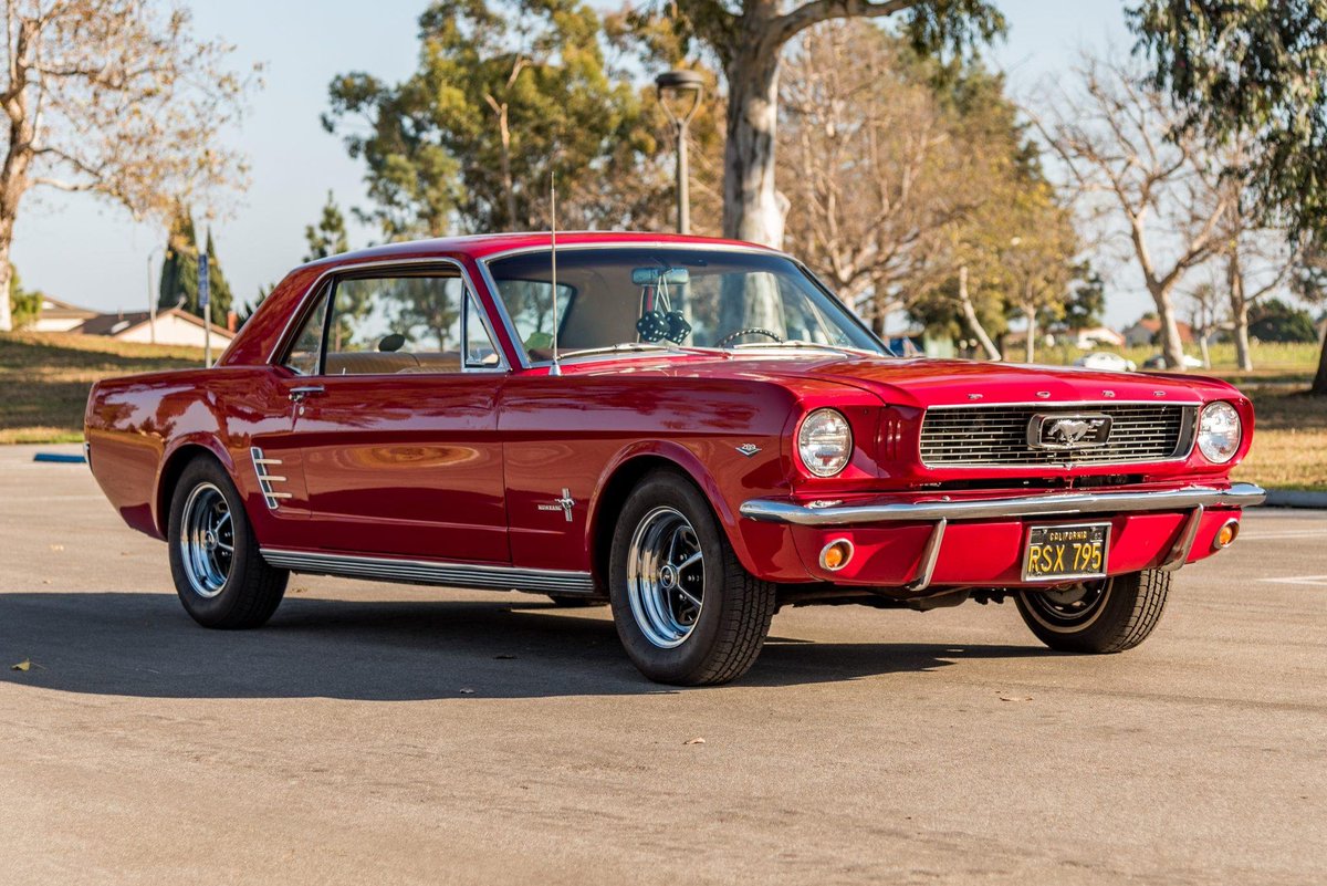 Aina_Jones8's tweet photo. Remember when life moved a little slower? A white garden gate, roses in full bloom, a shiny ’60s Mustang, and that perfect tree-lined road in fall… pure magic. These moments still warm the heart.
#Nostalgia #ClassicMustang #CountryRoads https://t.co/uepw2EHMXu
