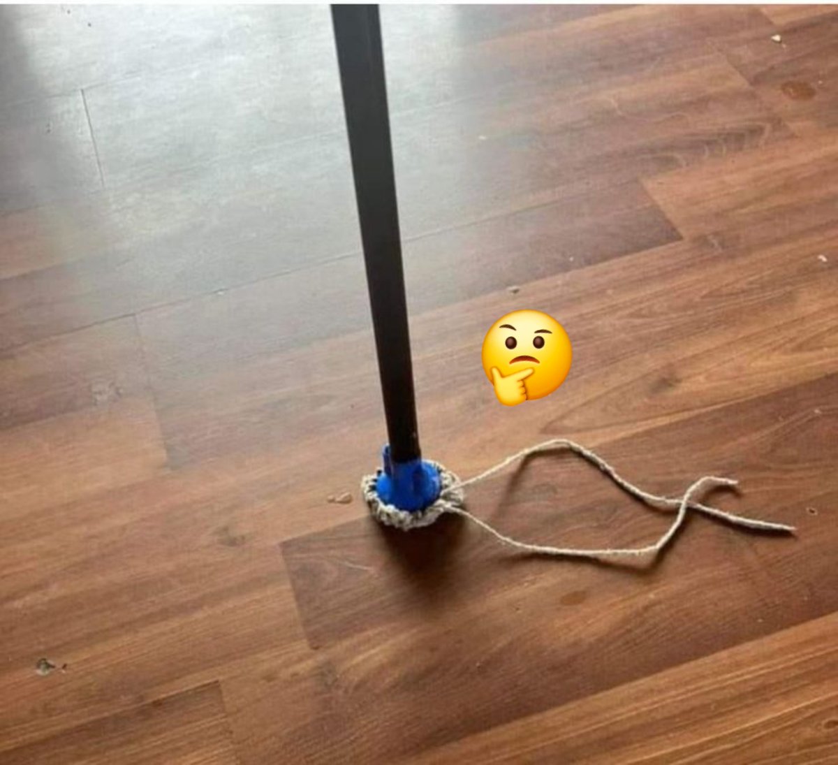 DazylingQueen's tweet photo. I think it's time to buy a new mop.. https://t.co/zo8Qz6SWKH