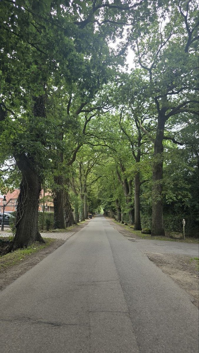 MARMONIX's tweet photo. 31.07.2026, I had another long walk.
🚆 I first went by train to Elmshorn and then walked back to Hamburg.

🚶‍♂️ Total distance: 31.87 km
👣 Steps: 40,883 steps
⏱️ Walking time: 404 minutes
⏸️ Breaks: only 2 times, 5 minutes each https://t.co/JmfydztdJ3