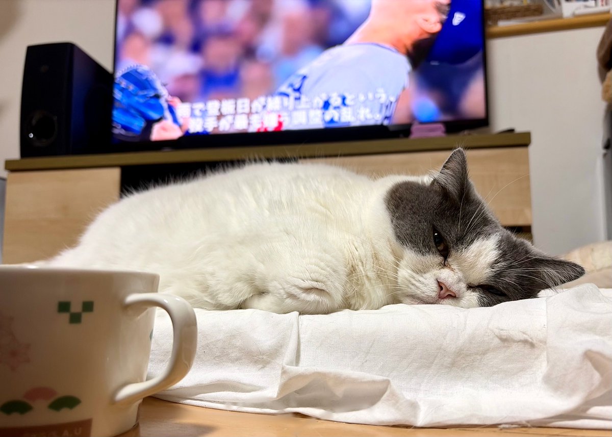 Kendo92go's tweet photo. あんたエライな。 https://t.co/961DudZTZ2