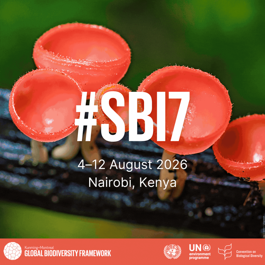 SchomakerAstrid's tweet photo. All meetings of the Subsidiary Body on Implementation are important but #SBI7, which started today, carries special significance. 

It will conclude a mere 8⃣ weeks ahead of #COP17Armenia. Its recommendations will be key to success in Yerevan &amp; beyond:

🎥https://t.co/251ZkoJD85 https://t.co/5yu6JNwHfy
