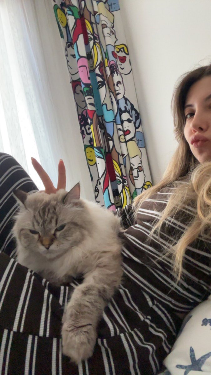 tugcemre_'s tweet photo. My cat has a face card https://t.co/SOyqRe0xhM
