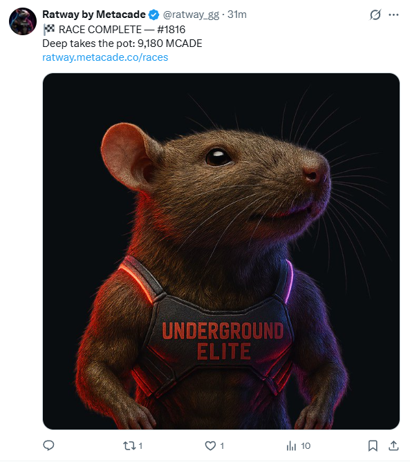 russ_mcade's tweet photo. Checked in on 'Max OS - Flow' this morning. Everything running like a dream. Max has even been sharpening the images before posting to hit benchmarks put in place.

Time to expand @ratway_gg https://t.co/SlYK1qe5XU
