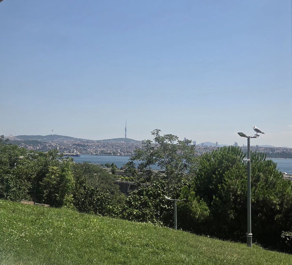 sener_taskesen's tweet photo. https://t.co/nnylH9fz1r