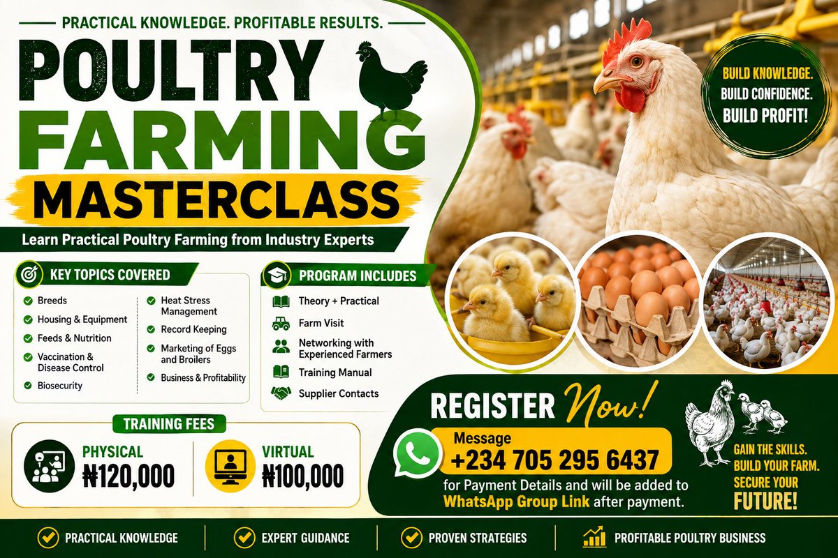 bossolamilekan1's tweet photo. Let's do this again, this is for those that will like to invest in poultry business,you need to seek for knowledge first before anything,you can message the number on the Banner for more detail. https://t.co/dyBPOVayLm