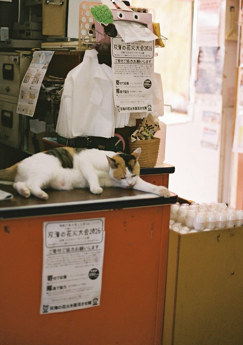 taigashot_'s tweet photo. いつか、また。 #film https://t.co/zR4V56O6iS