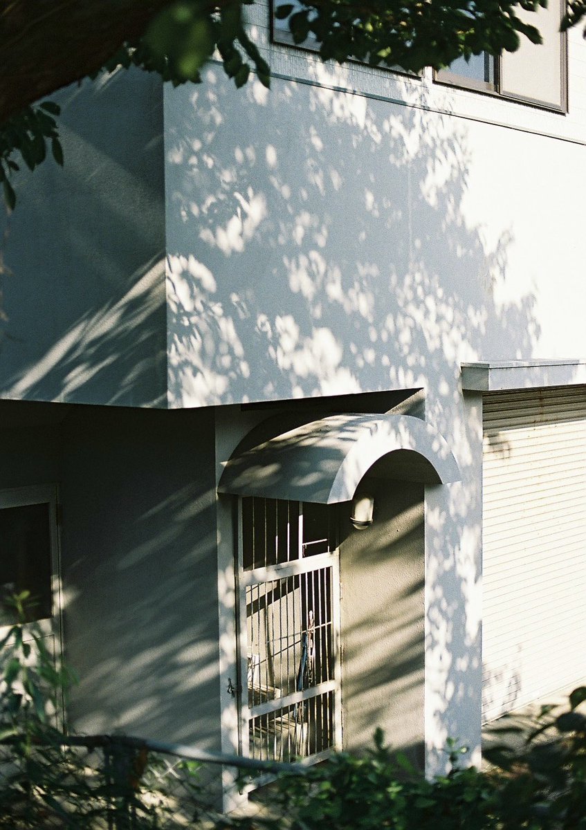 taigashot_'s tweet photo. いつか、また。 #film https://t.co/zR4V56O6iS