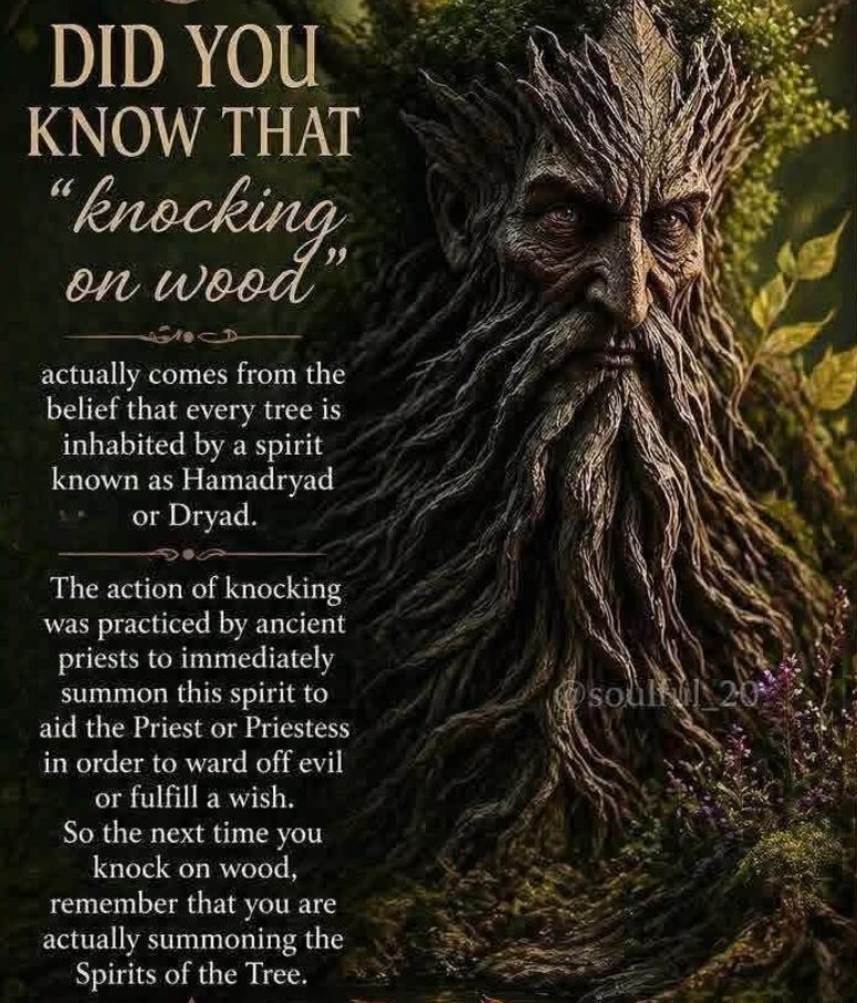SubRosaMagick's tweet photo. #FairyTaleTuesday #Folklore #DidYouKnow https://t.co/rKYNSp8Yhg