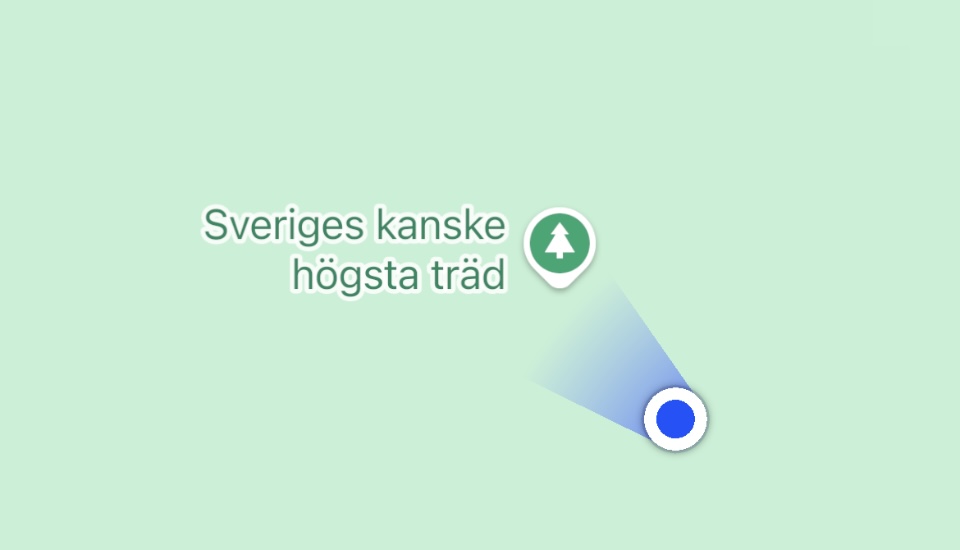 NiklasKrantz5's tweet photo. Hittade fram till rikets kanske högsta träd.
Detta på Ombergs sluttning. https://t.co/1xDa3s1vxI
