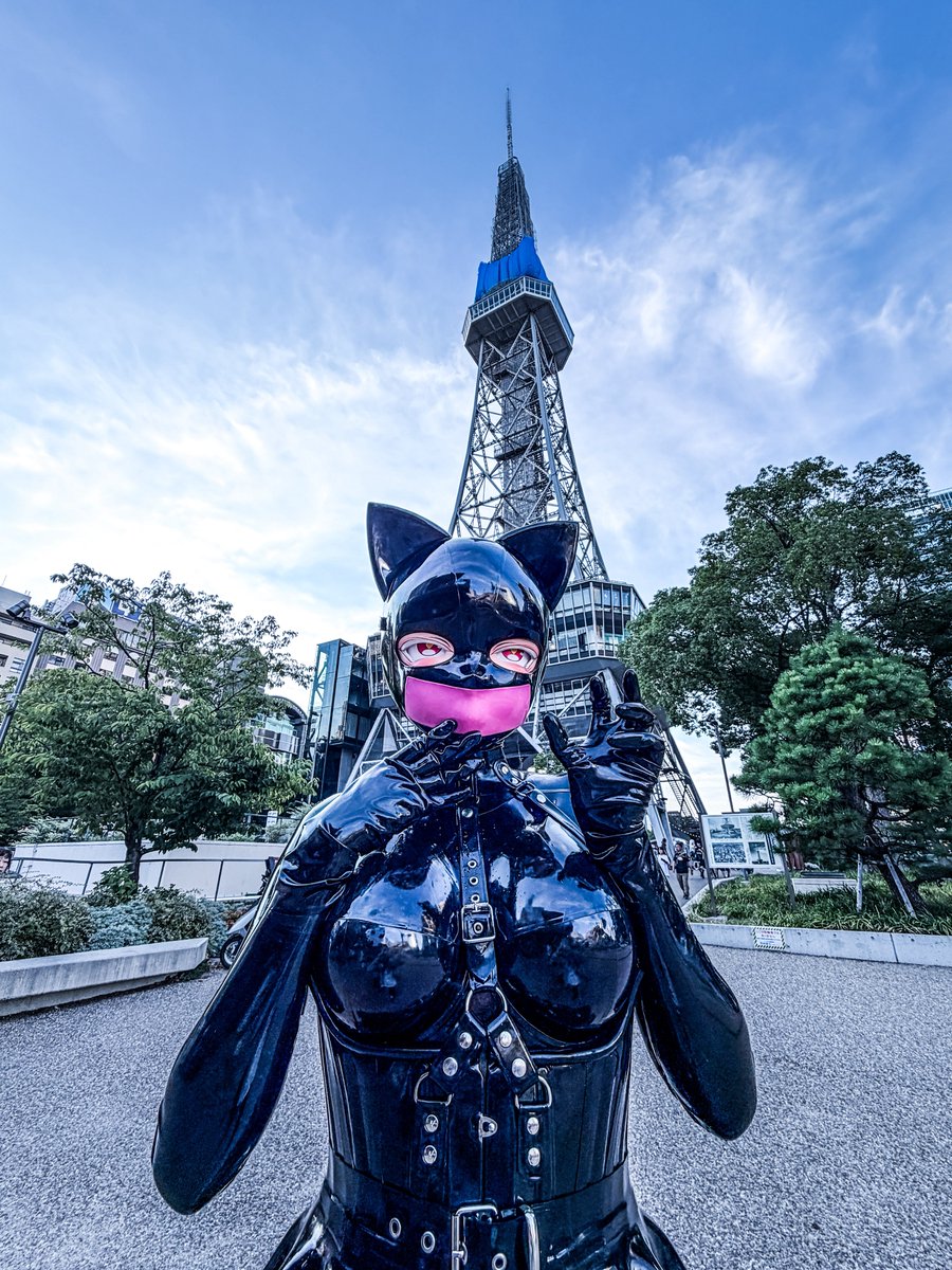 s_kigu's tweet photo. Meow〜🐈‍⬛ https://t.co/7w86CIELcU
