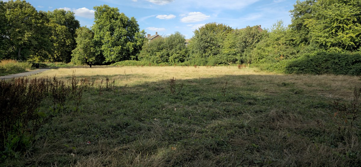 rndmdaz's tweet photo. @idverdeUK are you ever going to cut the grass in Wandle Park in Colliers Wood, it's absolutely disgusting, an overgrown mess and barely maintained. @Merton_Council done a better job than you when it was under them. I will be complaining to the local MP of your poor service. https://t.co/njx9bNJ6bY