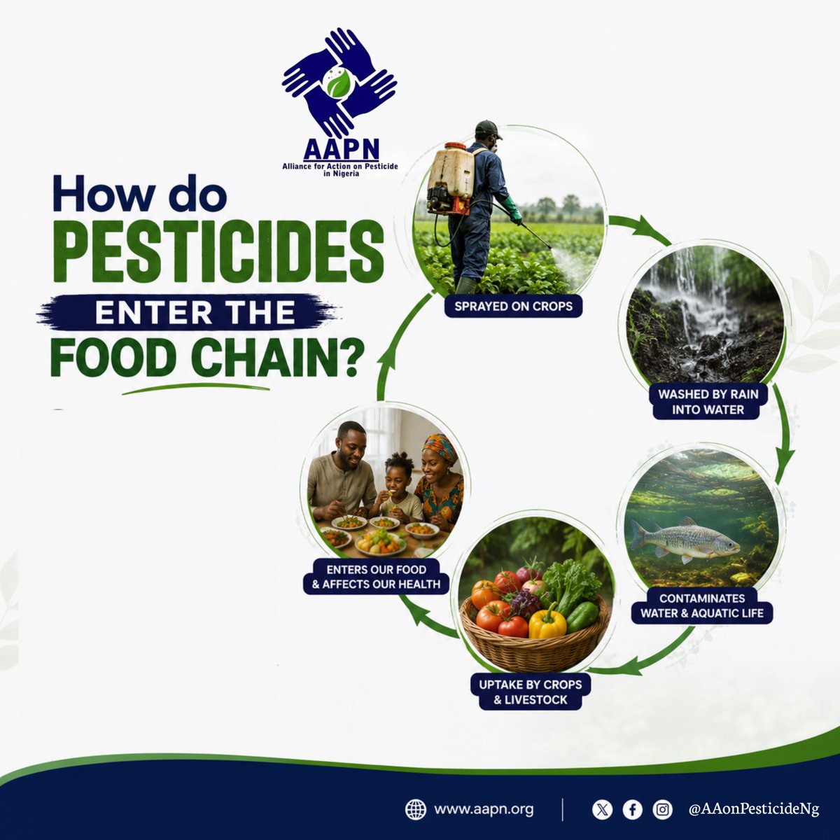 AAonPesticideNg's tweet photo. Pesticides don’t stay where sprayed. #HHPs can spread through environmental contamination, food supply chains, and distribution, unsafe for farms and communities.
Politicians, donors & gov’t must do more to cut toxic chemical risks and support 🇳🇬 farmers with #organicpesticides. https://t.co/LKEbblYtW8