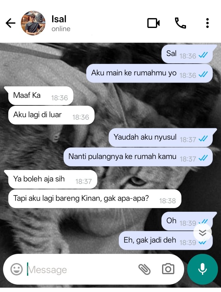 daeulkimm's tweet photo. Mengmiong few tweet au.

—temen sonoan dikit. https://t.co/QUfxMJb6Vk