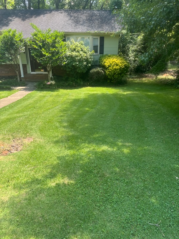 palmettolawn's tweet photo. Nothing beats a thick, green lawn to enjoy this summer. The heat is here but that doesn't mean your yard has to suffer. Give us a call if you need help keeping it looking this good all season.
#PalmettoLawnAndPest #FrontYard #UpstateSC #GreenvilleSC #BackyardGoals #864LawnCar... https://t.co/dlYZe028lS
