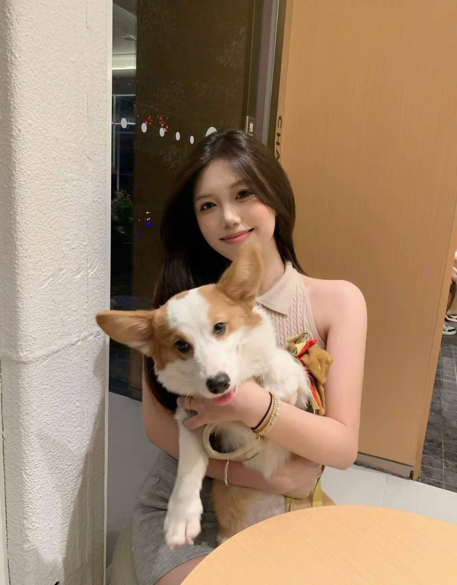 klnrmik's tweet photo. 我的🐶 https://t.co/jRci4SgWkY