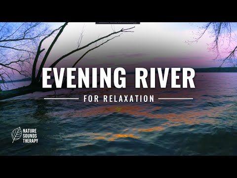 beerfest30's tweet photo. For winding down tonight — uneven laps of the Havel at dusk, woodpecker tapping through the trees behind the bank. We lit a fire and slept there. No loops, no AI. #riversounds #eveningvibes

https://t.co/u7WluUBMLc https://t.co/ir3qRRwcZr